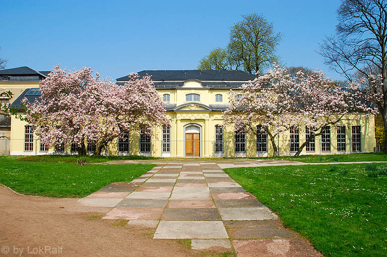 Altenburg - Orangerie